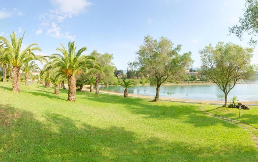 Palm Tree Corfu Apt. Danilia Exterior photo